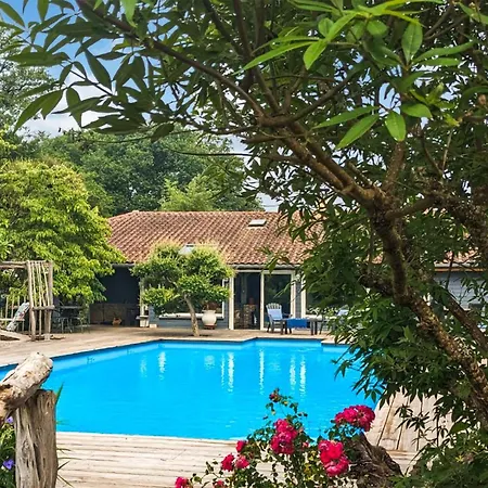 Tatil Evi Cozy Home In Saint-Yaguen Saint-Yaguen